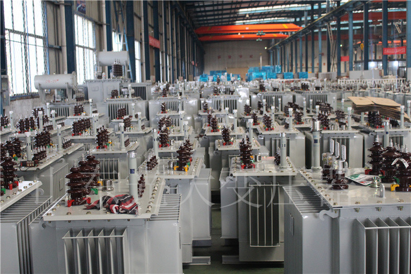 吉木萨尔S22-800KVA/10KV